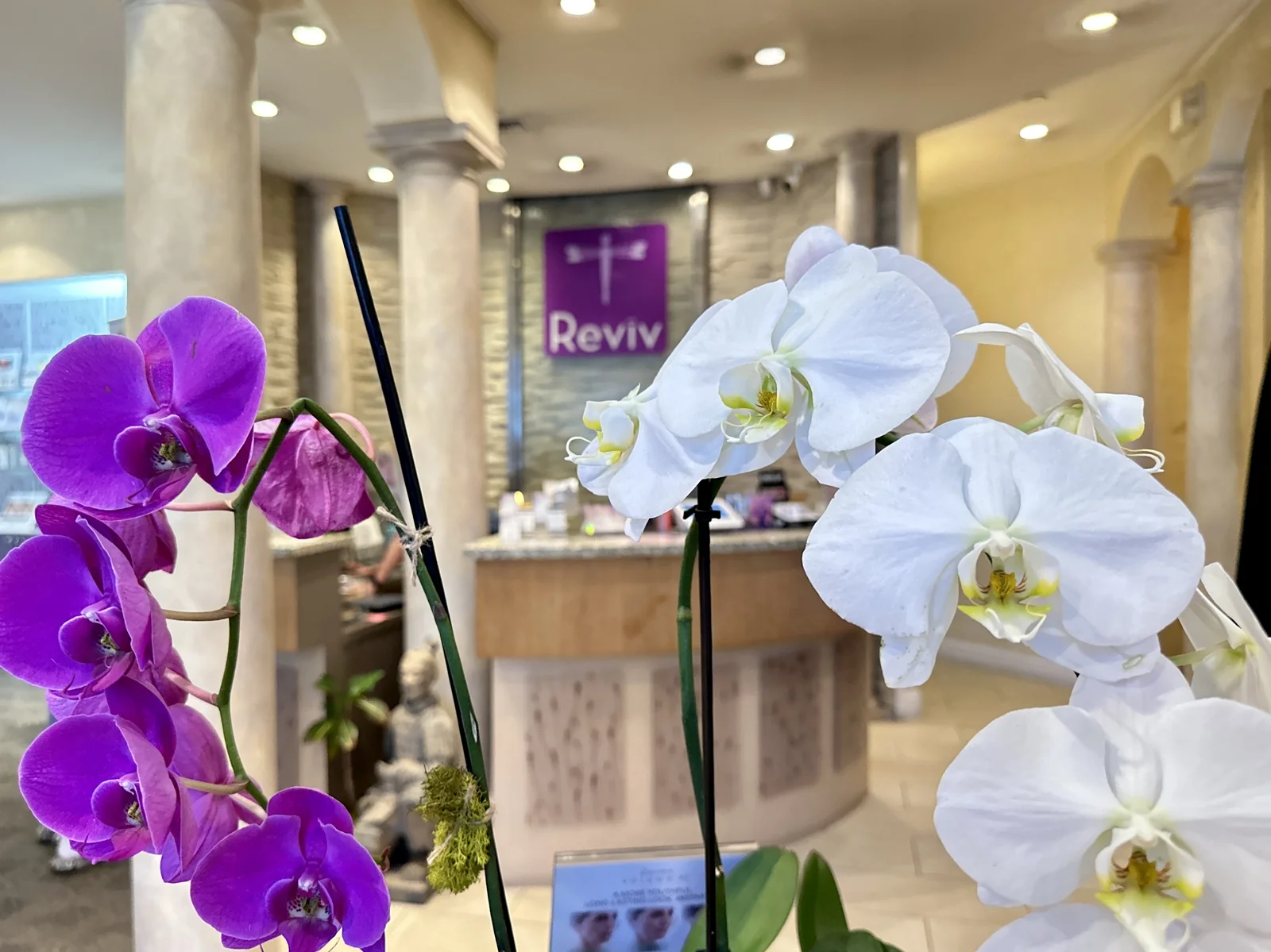 Reviv Med Spa lobby — orchids and Reviv signage in Millbrae, CA